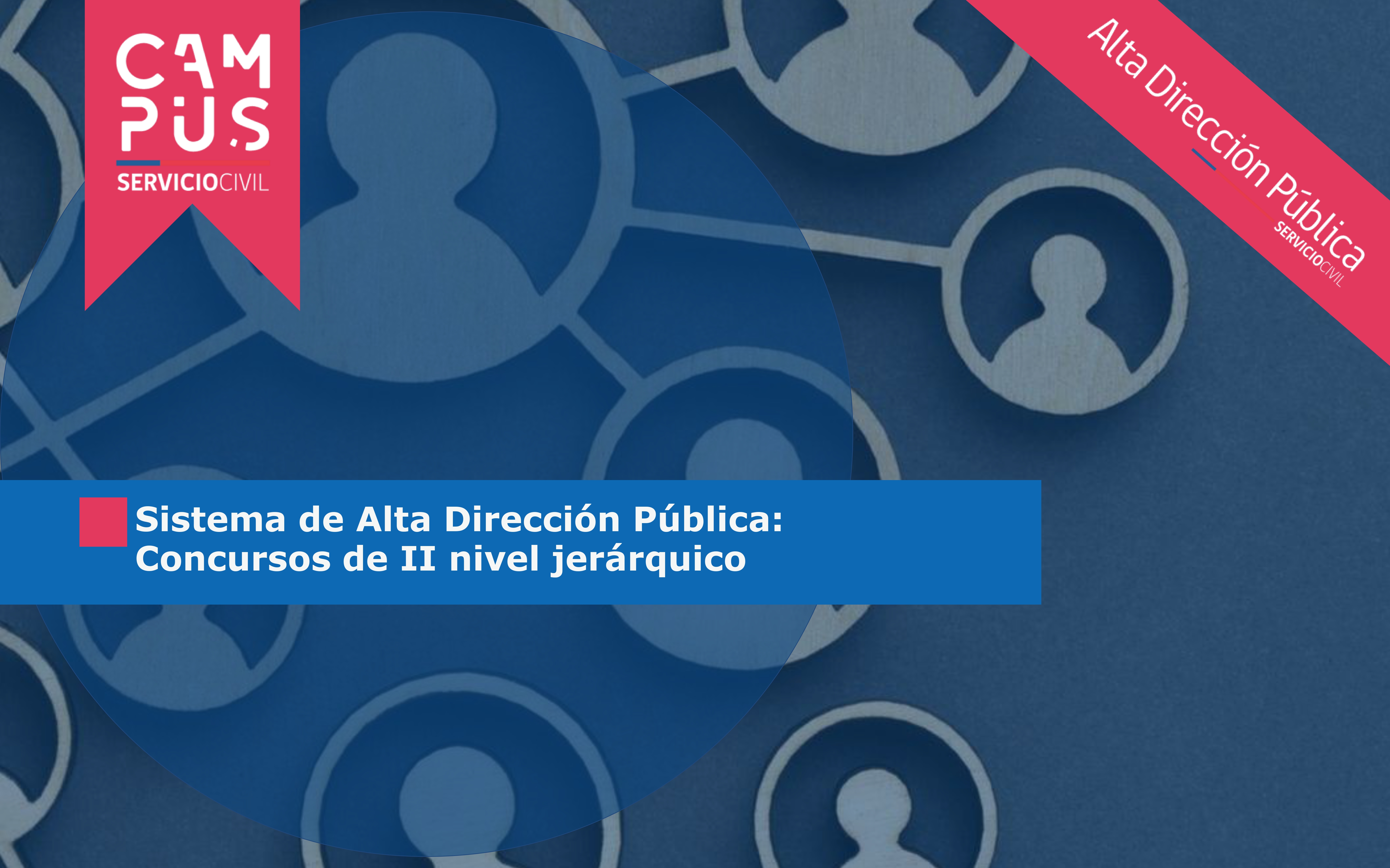 SISTEMA DE ALTA DIRECCIÓN PÚBLICA: CONCURSOS DE II NIVEL JERÁRQUICO