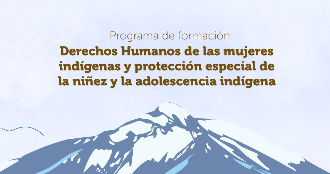 DERECHOS DE LAS MUJERES INDÍGENAS Y PROTECCIÓN ESPECIAL DE LA NIÑEZ Y ADOLESCENCIA INDÍGENAS